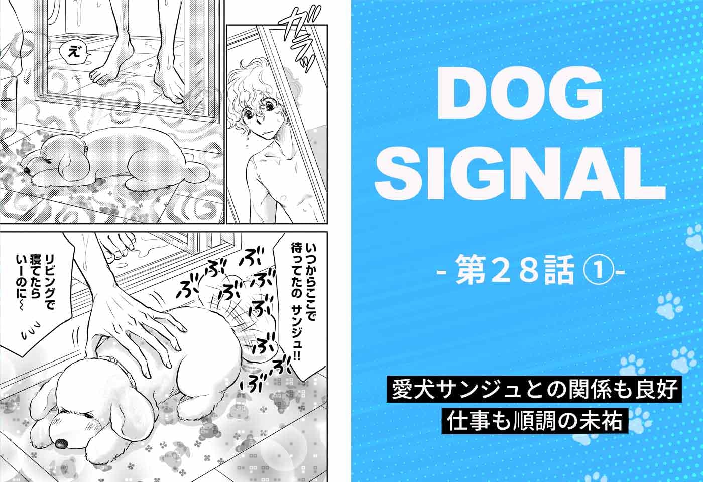ドッグトレーニング漫画『DOG SIGNAL』28話目　1/4