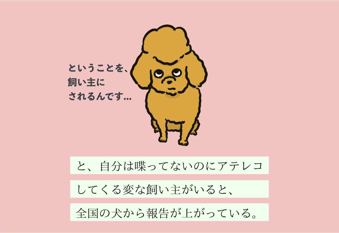 アテレコシガチヌシの生態《変な飼いヌシ図鑑019》