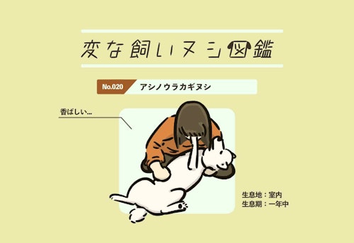 変な飼いヌシ図鑑no 0 肉球の匂いを嗅ぐ癖がある飼い主 アシノウラカギヌシ わんクォール 変な飼いヌシ図鑑no 0 肉球の匂いを嗅ぐ癖がある飼い主 アシノウラカギヌシ わんクォール