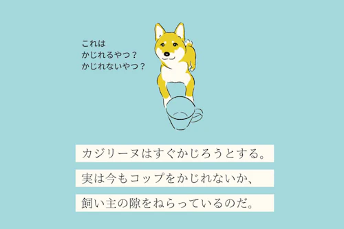 変な犬図鑑no 018 カジリーヌ なんでも噛むかじる犬の心理を獣医師が解説 わんクォール 変な犬図鑑no 018 カジリーヌ なんでも噛むかじる犬の心理を獣医師が解説 わんクォール