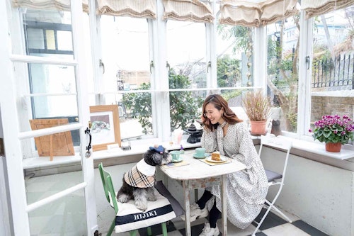 【鎌倉のカフェ3選】愛犬と暮らしたい人気の街で散歩♪古民家系〜ガーデンカフェのおしゃれスポットを紹介