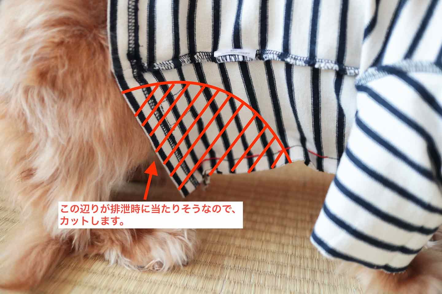 犬 服 ショップ 大きく する