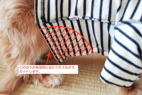 手作り犬服 サイズアウトした子供服を犬用にリメイクする方法 抜け毛 汚れ対策に わんクォール 手作り犬服 サイズアウトした子供服を犬用にリメイクする方法 抜け毛 汚れ対策に わんクォール
