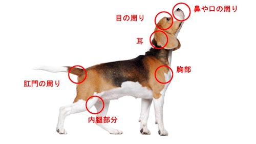 Umoxk9g9vzqo0m Umoxk9g9vzqo0m