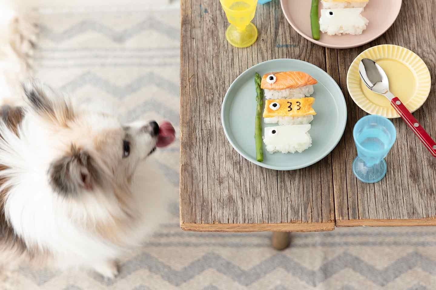 愛犬も喜ぶ「こいのぼりデコ寿司」-こどもの日の簡単おやつレシピ