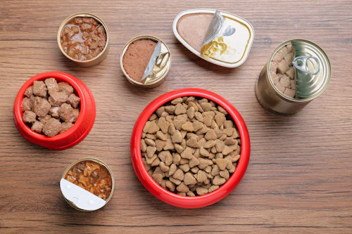 子犬がご飯を食べない 考えられる原因と対処法を解説 獣医師監修 わんクォール