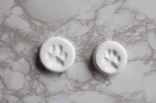愛犬の肉球を型取って足形を残す方法 立体的な凹凸型アクセサリーの作り方 わんクォール 愛犬の肉球を型取って足形を残す方法 立体的な凹凸型アクセサリーの作り方 わんクォール