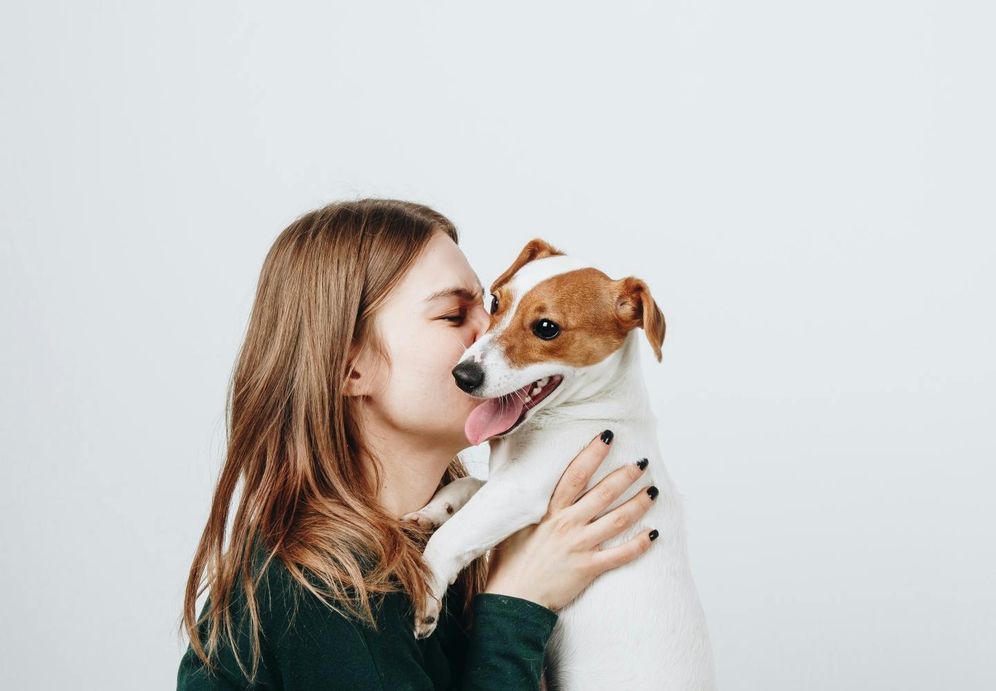 犬吸い がもたらす効果とは される側の犬の心理やする際の注意点を解説 獣医師監修 わんクォール