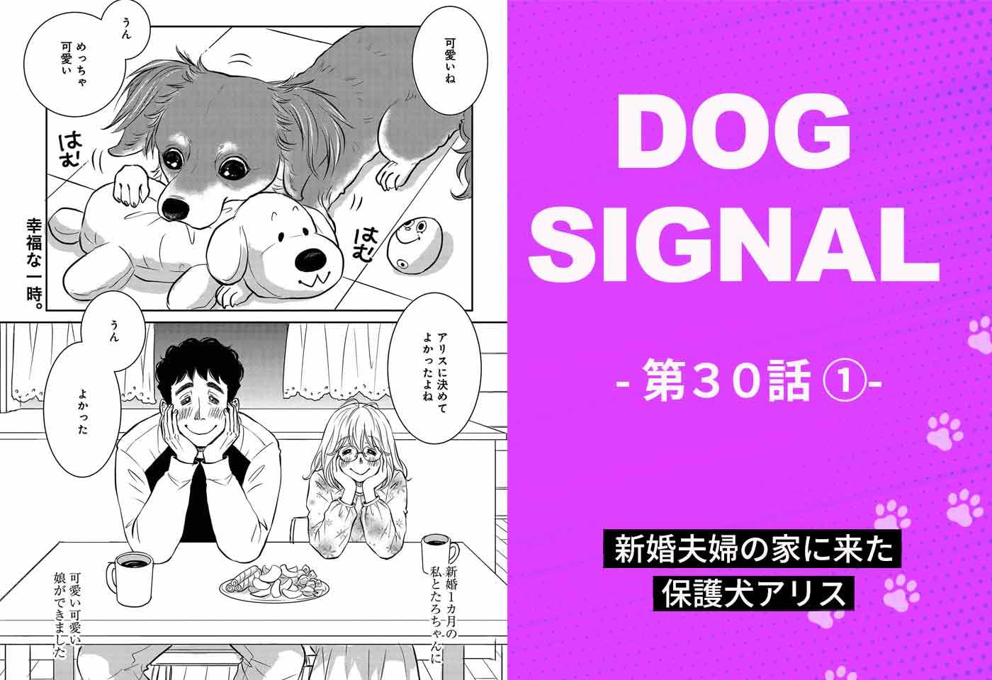 ドッグトレーニング漫画『DOG SIGNAL』30話目　1/4