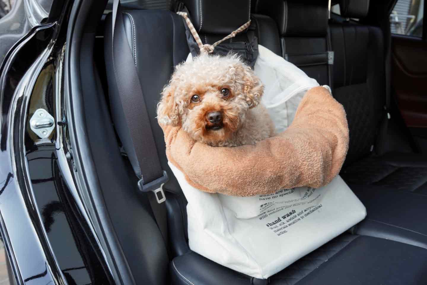 愛犬用のドライブボックスを自作！身近なアイテムがシートの固定に使える⁈