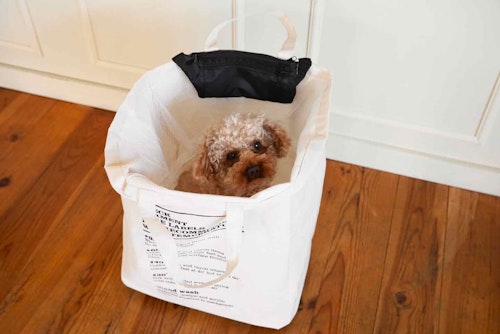 愛犬用のドライブボックスを自作 身近なアイテムがシートの固定に使える わんクォール 愛犬用のドライブボックスを自作 身近なアイテムがシートの固定に使える わんクォール