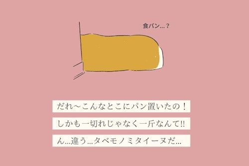 変な犬図鑑no 0 タベモノミタイーヌ 食べ物と一致する犬たち 犬好きなら分かる あるある わんクォール 変な犬図鑑no 0 タベモノミタイーヌ 食べ物と一致する犬たち 犬好きなら分かる あるある わんクォール