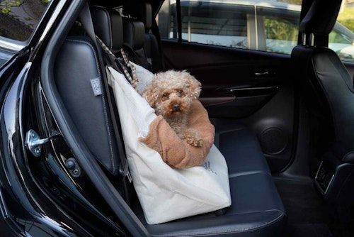 愛犬用のドライブボックスを自作 身近なアイテムがシートの固定に使える わんクォール 愛犬用のドライブボックスを自作 身近なアイテムがシートの固定に使える わんクォール