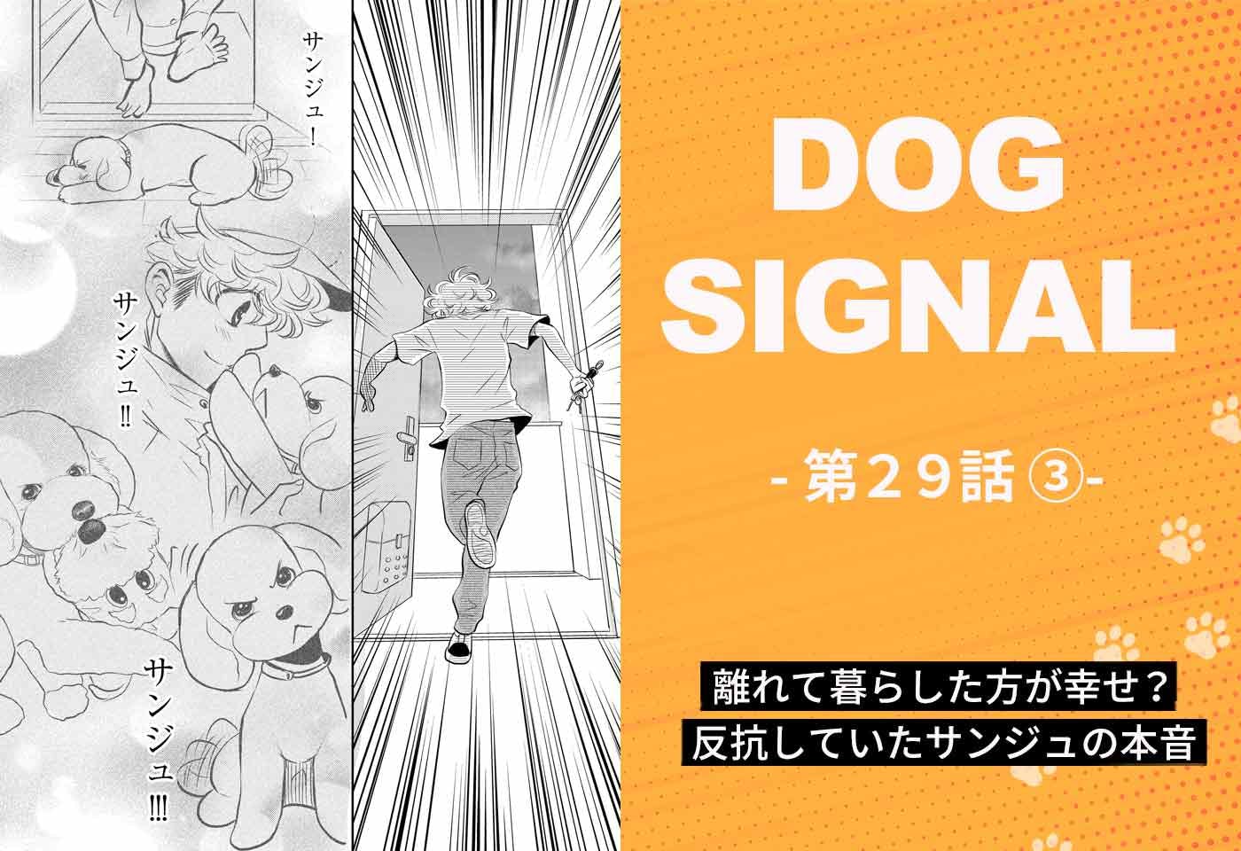 『DOG SIGNAL（ドッグシグナル）』29話目　3/4