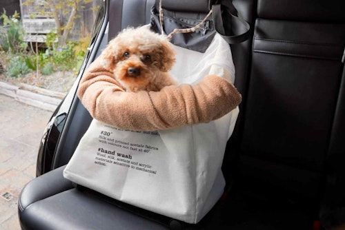 愛犬用のドライブボックスを自作 身近なアイテムがシートの固定に使える わんクォール 愛犬用のドライブボックスを自作 身近なアイテムがシートの固定に使える わんクォール