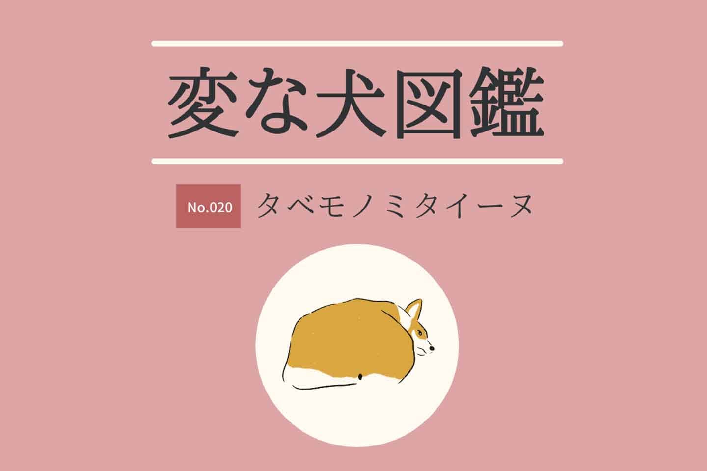 【変な犬図鑑No.020 タベモノミタイーヌ】食べ物と一致する犬たち! 犬好きなら分かる「あるある」