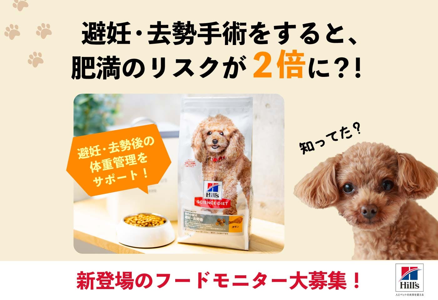 室内飼育と避妊・去勢で犬が肥満に?!飼い主が知っておくべきポイントを解説【獣医師監修】