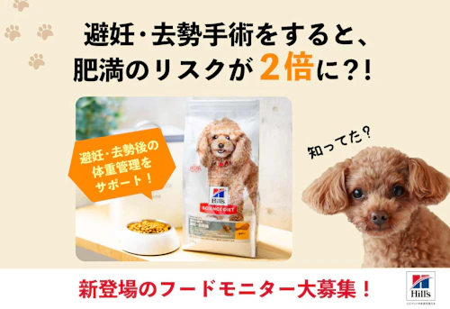 室内飼育と避妊 去勢で犬が肥満に 飼い主が知っておくべきポイントを解説 獣医師監修 わんクォール 室内飼育と避妊 去勢で犬が肥満に 飼い主が知っておくべきポイントを解説 獣医師監修 わんクォール