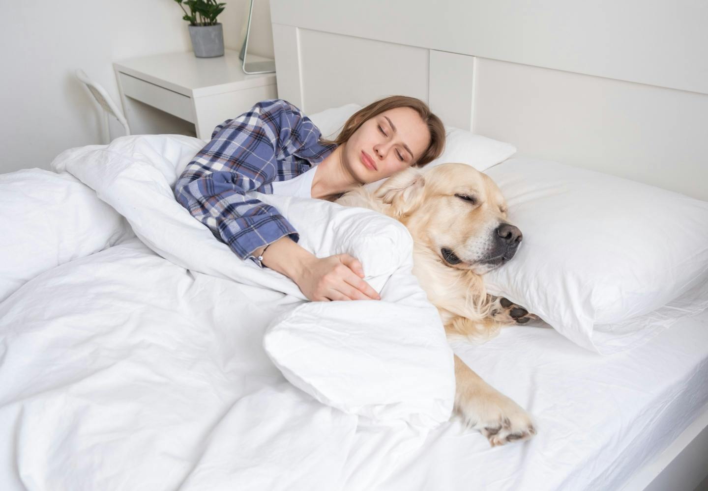 女性は恋人よりも犬と一緒に寝たほうが熟睡できる？驚きの研究結果を解説【獣医師監修】