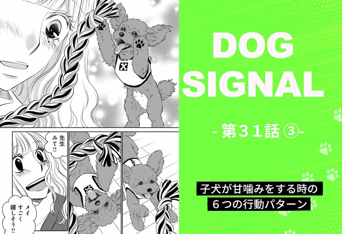『DOG SIGNAL』31話目3/4　子犬の甘噛み問題（コミック7巻収録分）