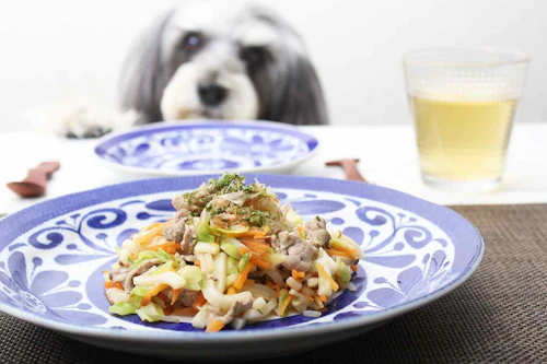 低カロリー 犬はうどんが好き 胃腸の不調やむくみ対策におすすめの焼うどんレシピ わんクォール 低カロリー 犬はうどんが好き 胃腸の不調やむくみ対策におすすめの焼うどんレシピ わんクォール