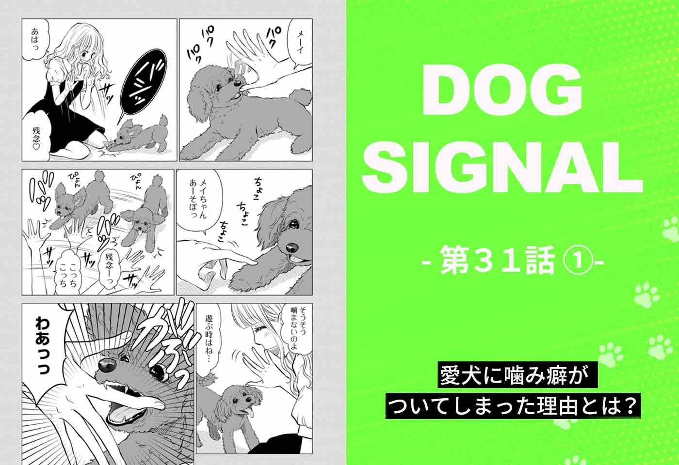 『DOG SIGNAL』31話目1/4　子犬の甘噛み問題（コミック7巻収録分）
