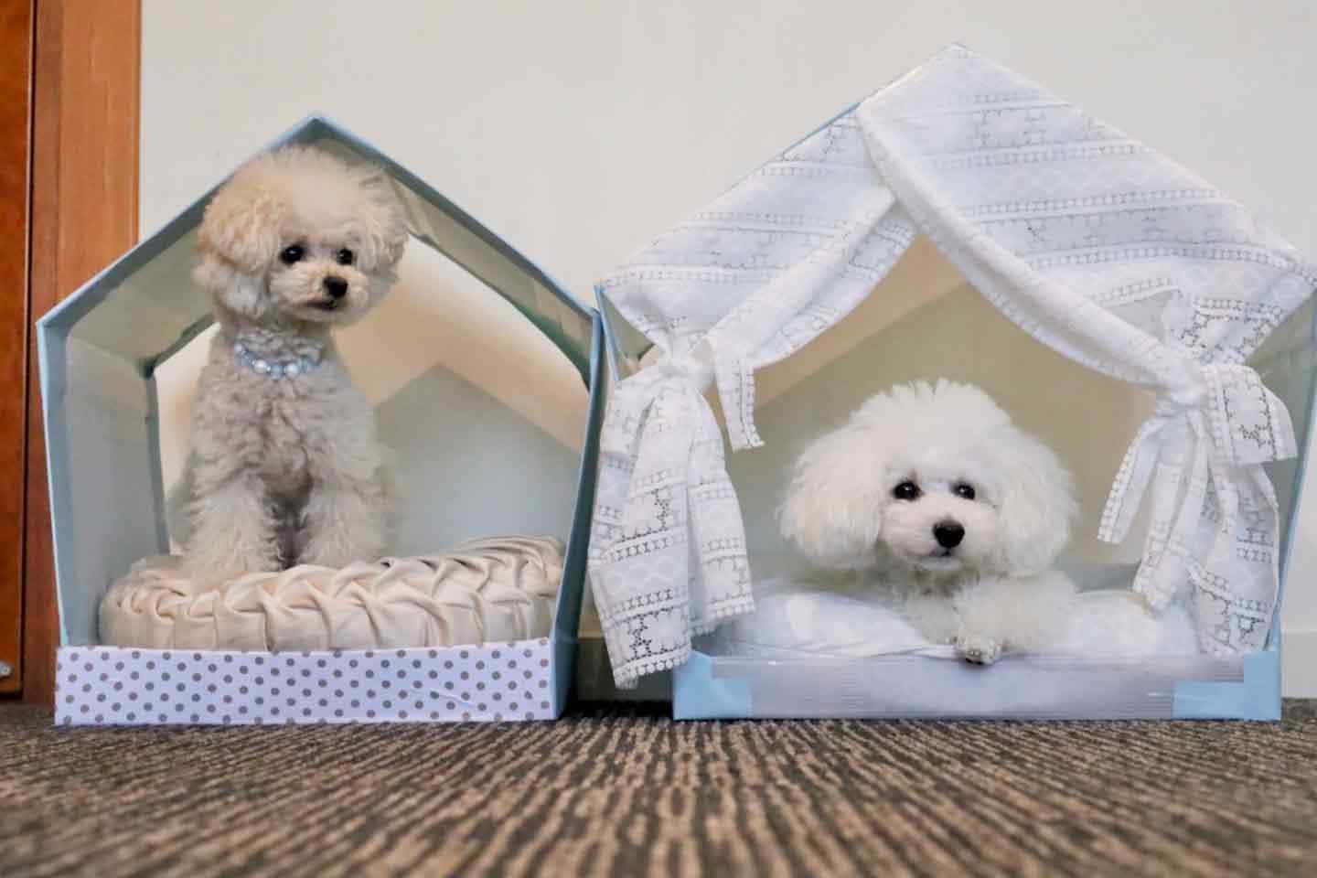 室内用の犬小屋をプラダンで作ってみた。DIY初心者におすすめの安価でおしゃれなハウス|ワンクォール