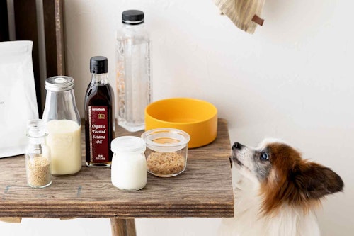 犬が水を飲まない理由とその対処法 。水分補給におすすめのトッピング食材5選