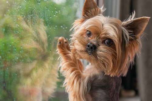 Mb2g8dru 0l92m Mb2g8dru 0l92m