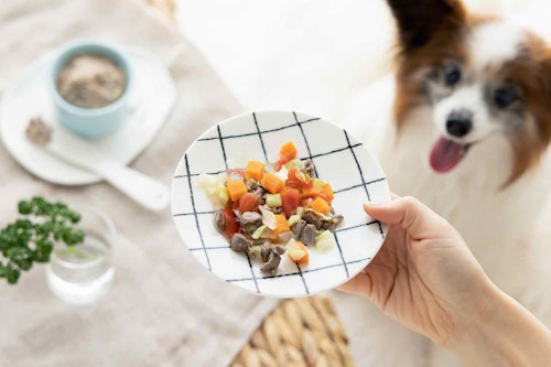 犬にレバーをあげても大丈夫 鶏レバーとハツの簡単犬用おやつレシピ 下処理方法 わんクォール 犬にレバーをあげても大丈夫 鶏レバーとハツの簡単犬用おやつレシピ 下処理方法 わんクォール