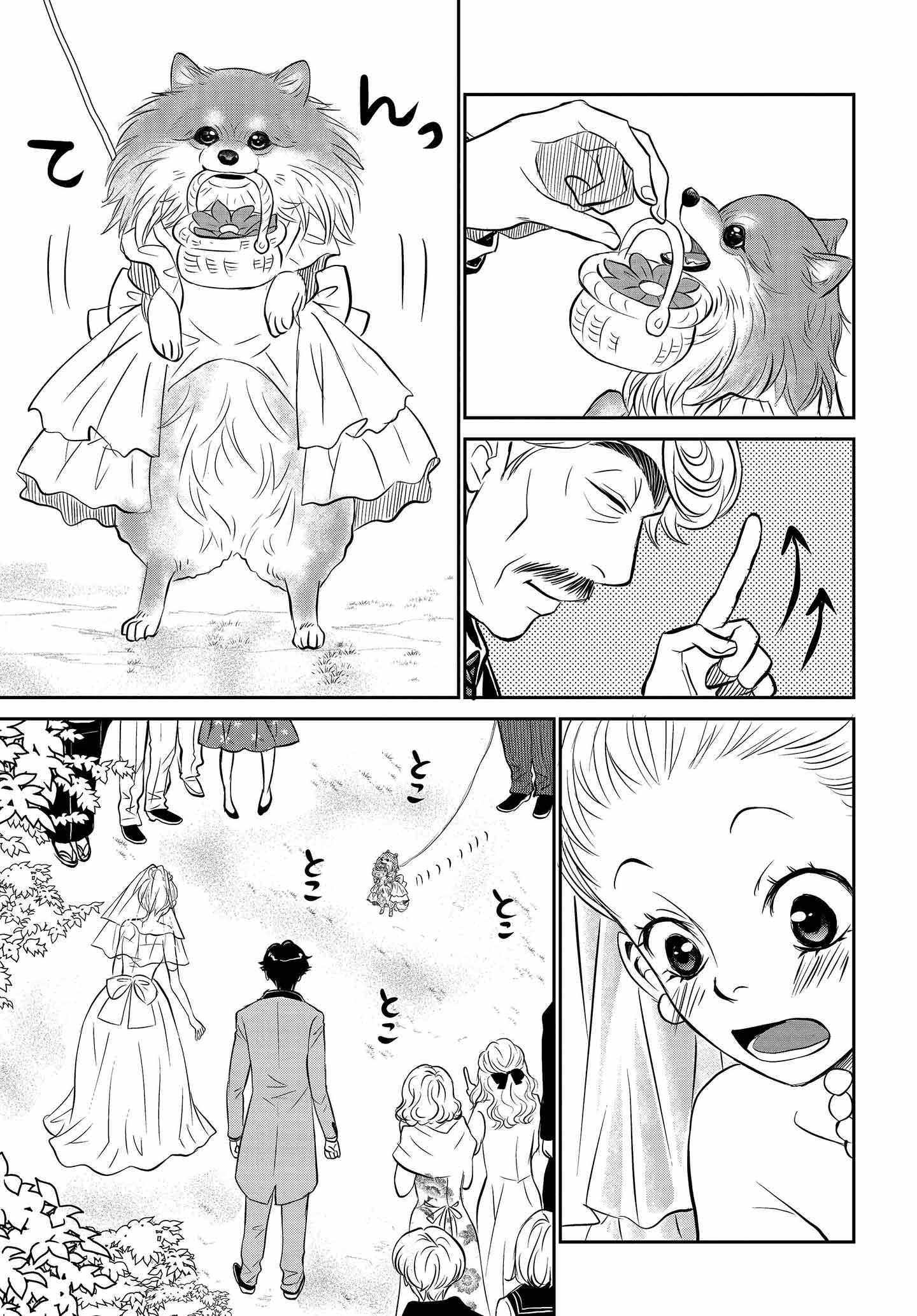 DOG ＳＩＧＮＡＬ ドッグシグナル DOG SIGNAL 全巻セット（1-13巻 最新刊） | 八文字屋OnlineStore