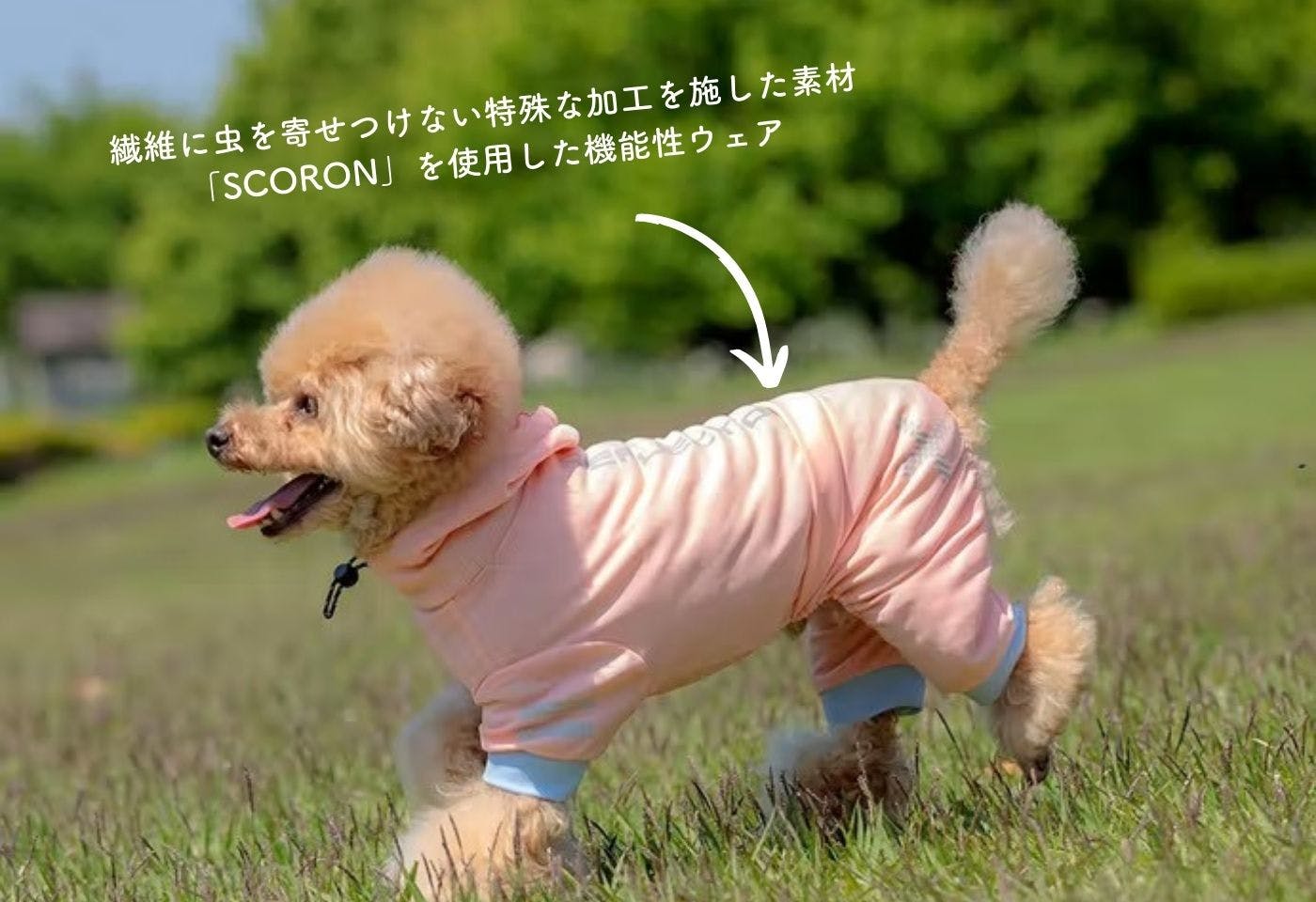 ホームセンターなのに犬服が可愛い！ カインズのペットウェア進化のヒミツ|ワンクォール