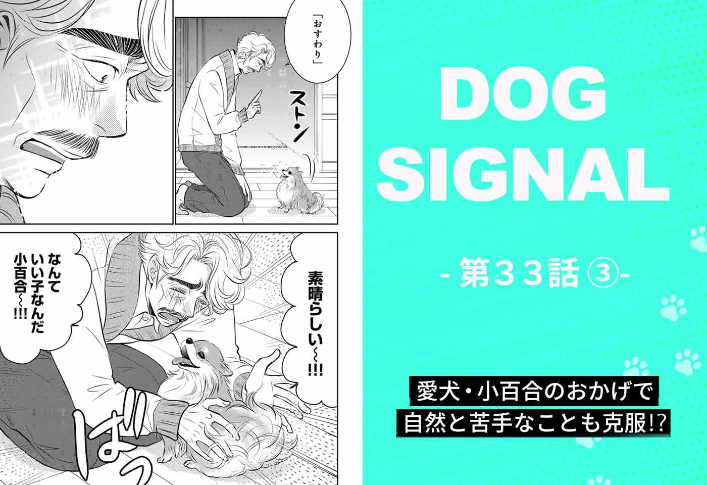 『DOG SIGNAL』33話目3/4　愛犬と飼い主に合ったしつけ（コミック7巻収録分）