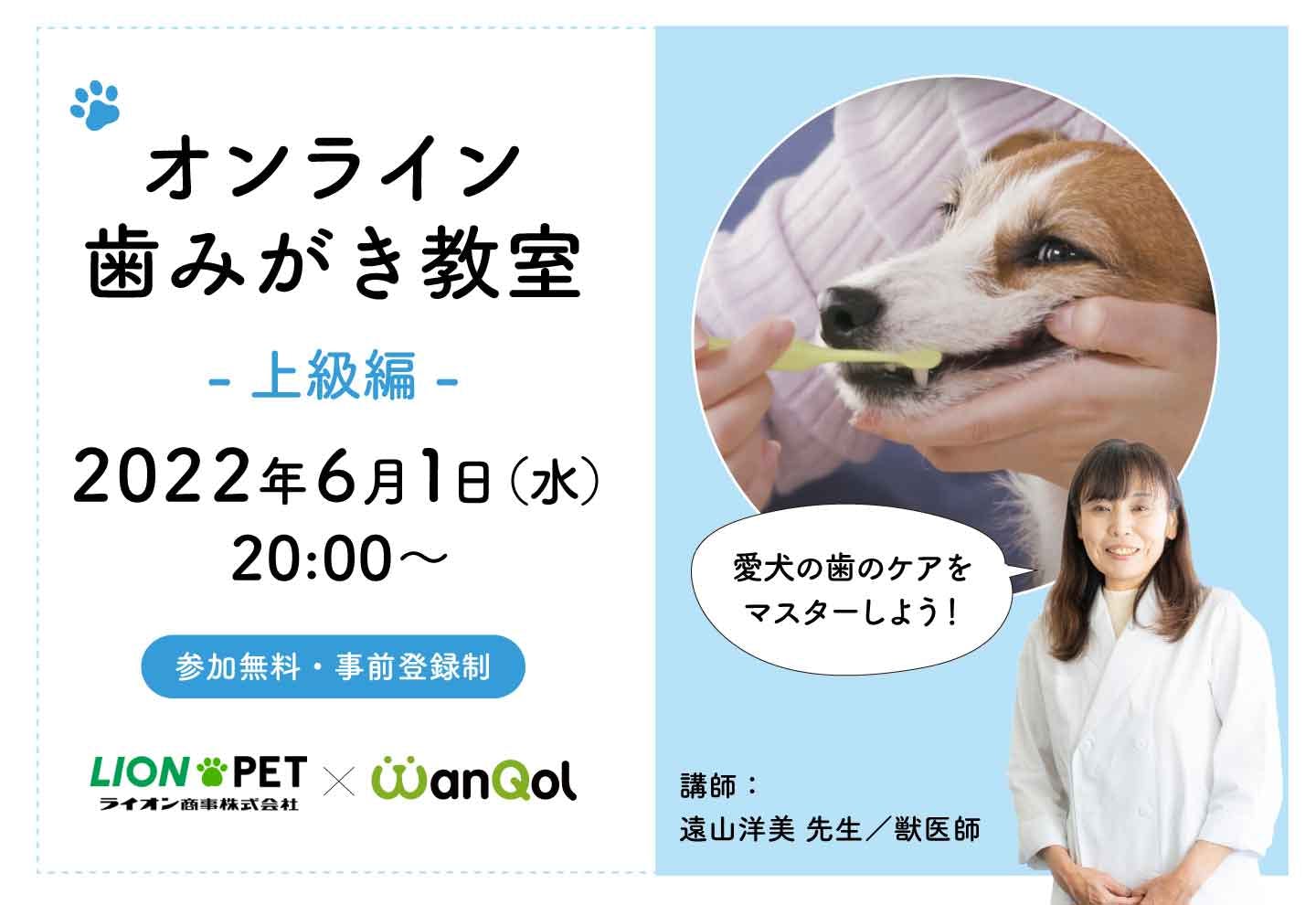 犬の歯みがきの方法を獣医師が解説! オンライン歯みがき教室 《第2回・上級編》