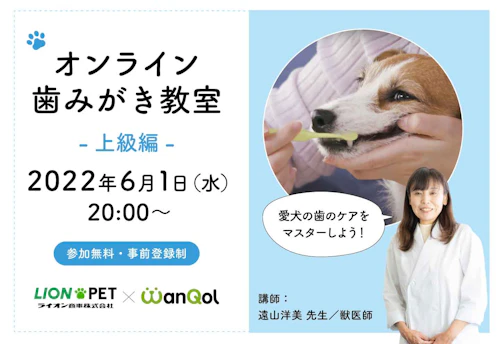 犬の歯みがきの方法を獣医師が解説 オンライン歯みがき教室 第2回 上級編 わんクォール 犬の歯みがきの方法を獣医師が解説 オンライン歯みがき教室 第2回 上級編 わんクォール