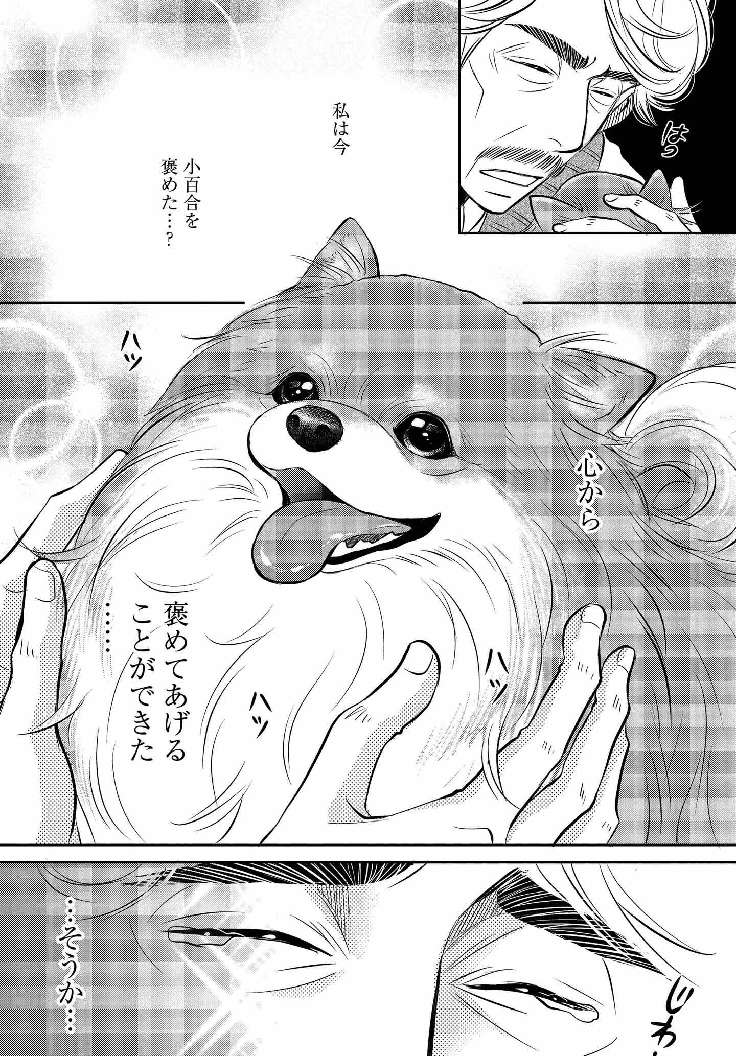 DOG ＳＩＧＮＡＬ ドッグシグナル Amazon.co.jp: DOG SIGNAL 1 (BRIDGE COMICS) : みやうち 沙矢: 本