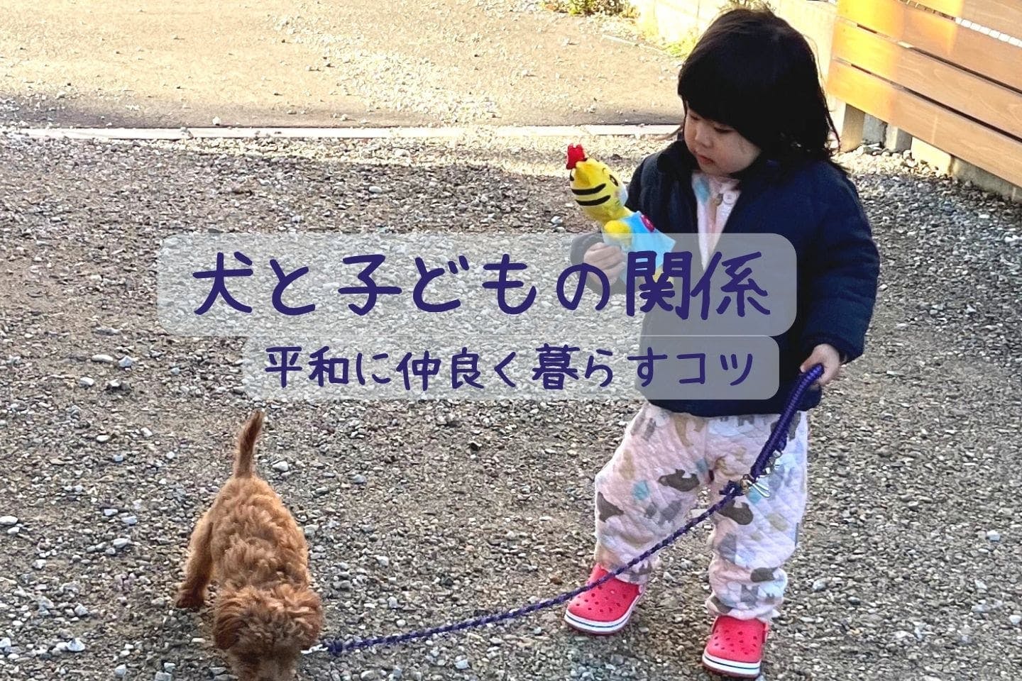 犬は小さい子どもと一緒に暮らせる！  犬を飼いたい家庭に獣医師がアドバイス