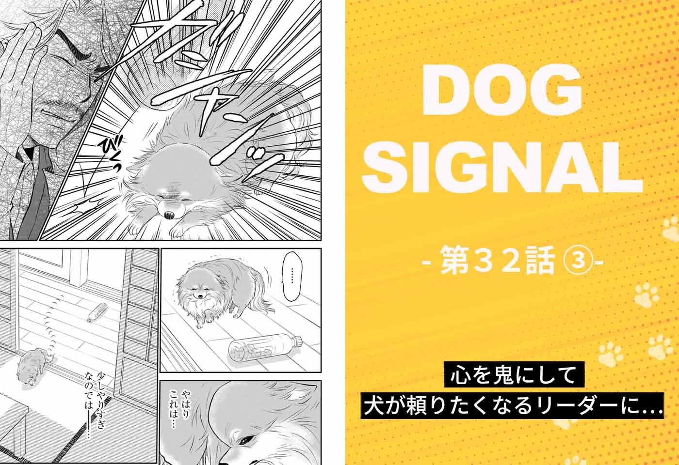 『DOG SIGNAL（ドッグシグナル）』32話目3/4　ポメラニアン小百合のしつけ