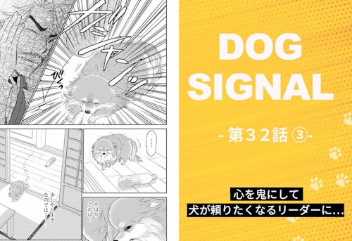 【最新話】『DOG SIGNAL』32話目3/4　ポメラニアン小百合のしつけ（コミック7巻収録分）