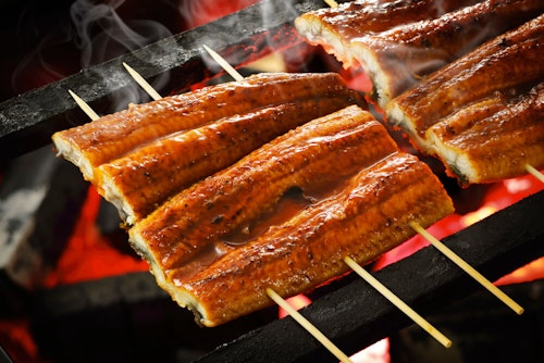 犬はうなぎ 蒲焼き 白焼き を食べても大丈夫 健康面のメリットや与える際の注意点を解説 獣医師監修 わんクォール 犬はうなぎ 蒲焼き 白焼き を食べても大丈夫 健康面のメリットや与える際の注意点を解説 獣医師監修 わんクォール