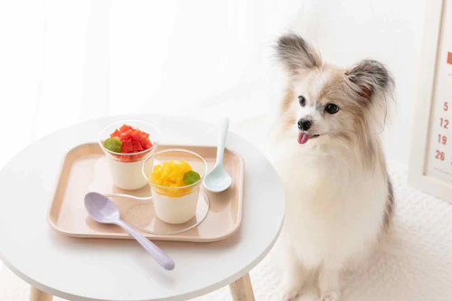 愛犬おやつ 着色料不使用の あじさいゼリー レシピ シニア犬の水分補給にもおすすめ わんクォール 愛犬おやつ 着色料不使用の あじさいゼリー レシピ シニア犬の水分補給にもおすすめ わんクォール