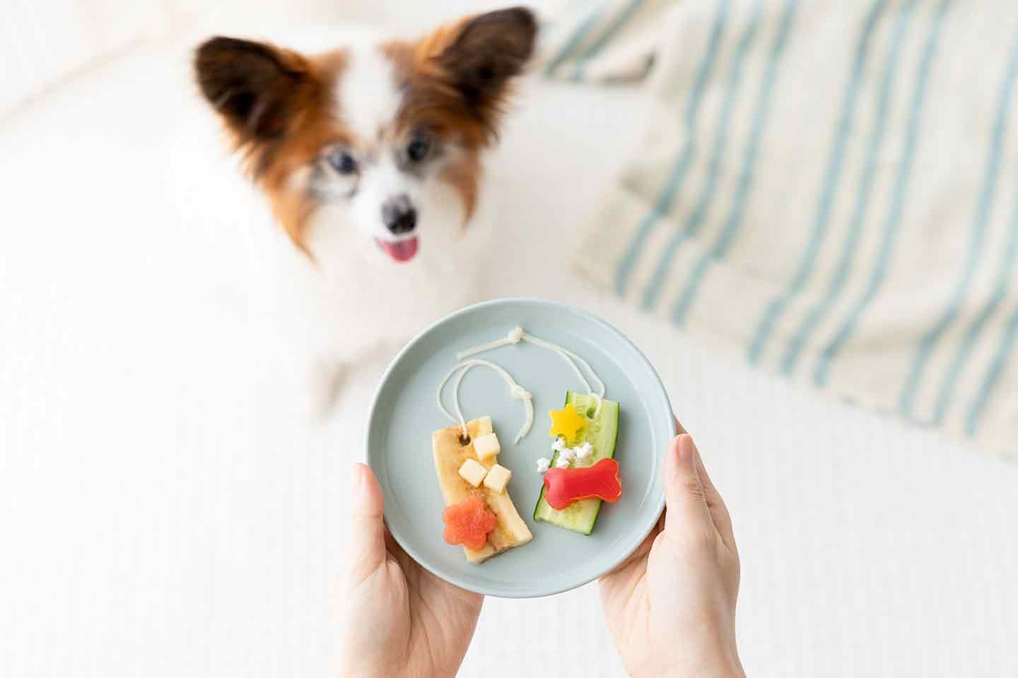 愛犬が丸ごと食べられる！ 七夕の短冊おやつレシピ