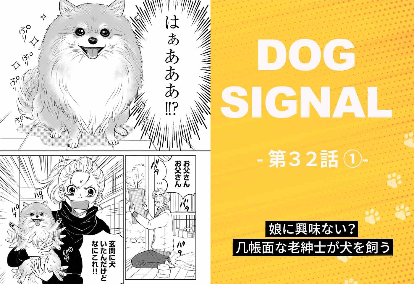 DOG SIGNAL』32話目1/4 ポメラニアン小百合のしつけ（コミック7巻収録