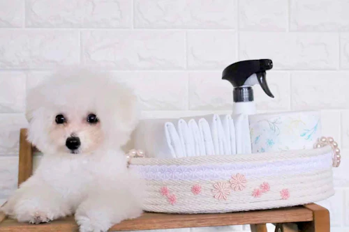 犬用品収納 簡単バスケットを手作り ミシン 針不要の巻くだけdiy わんクォール 犬用品収納 簡単バスケットを手作り ミシン 針不要の巻くだけdiy わんクォール