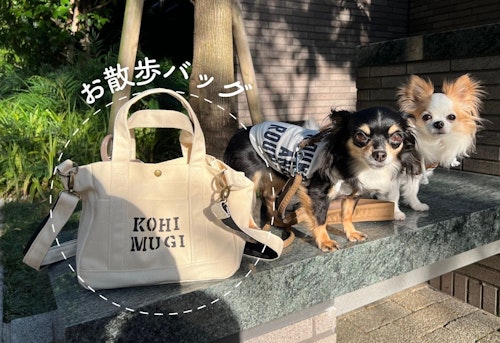 愛犬と毎日のお散歩に差がつく 自慢したくなるお散歩バッグの簡単アレンジ術 わんクォール 愛犬と毎日のお散歩に差がつく 自慢したくなるお散歩バッグの簡単アレンジ術 わんクォール