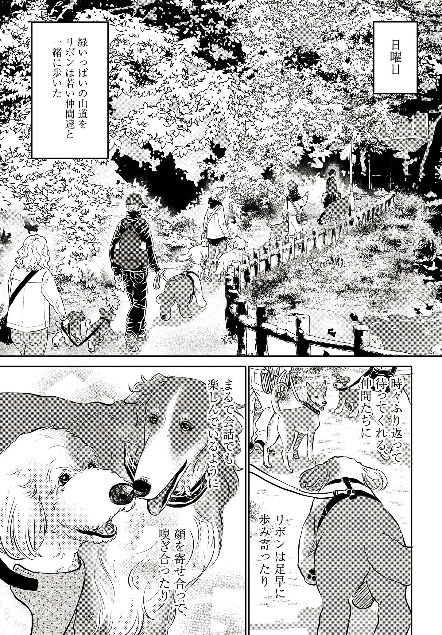 ドッグトレーニング漫画『DOG SIGNAL』34話目　2/4
