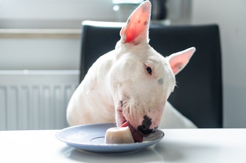 犬が誤飲してしまったらうんちで出る 誤飲の際の対処法や症状についても解説 わんクォール