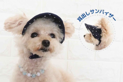 型紙不要 愛犬用手作りサンバイザーで紫外線 熱中症から守ろう わんクォール 型紙不要 愛犬用手作りサンバイザーで紫外線 熱中症から守ろう わんクォール