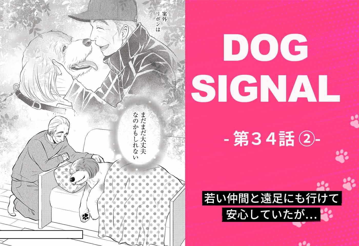 『DOG SIGNAL』34話目2/4　仲間と遠足に行く老犬リボン