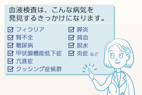教えて小林先生 犬の健康診断は何歳から必要 シニア期も健康でいるためにできること 獣医師インタビュー わんクォール